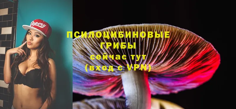 Галлюциногенные грибы MAGIC MUSHROOMS  Бирск 